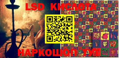 гашик Краснодар