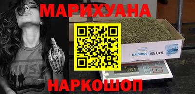 сатива Краснознаменск