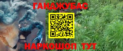 гашик Краснодар